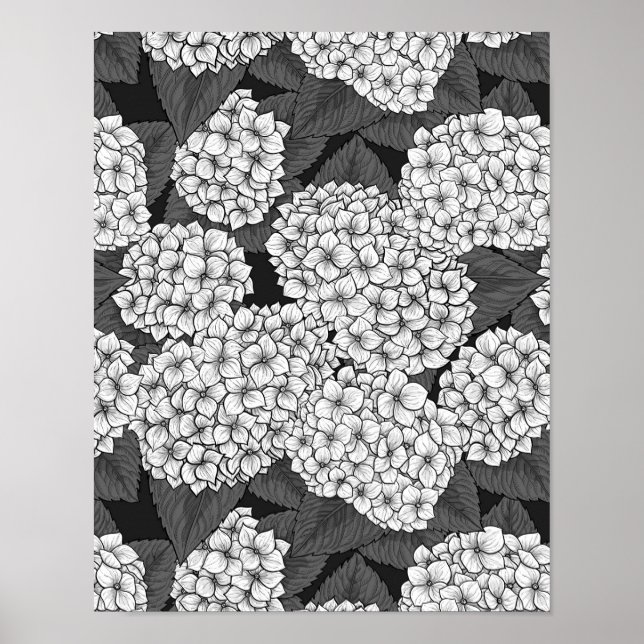 Weißes Hydrangea Poster (Vorne)