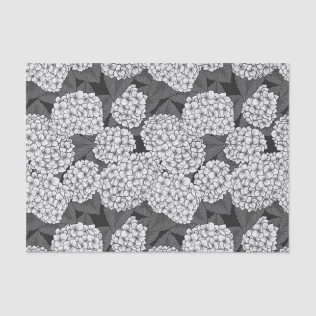 Weißes Hydrangea Seidenpapier (Vorderseite)