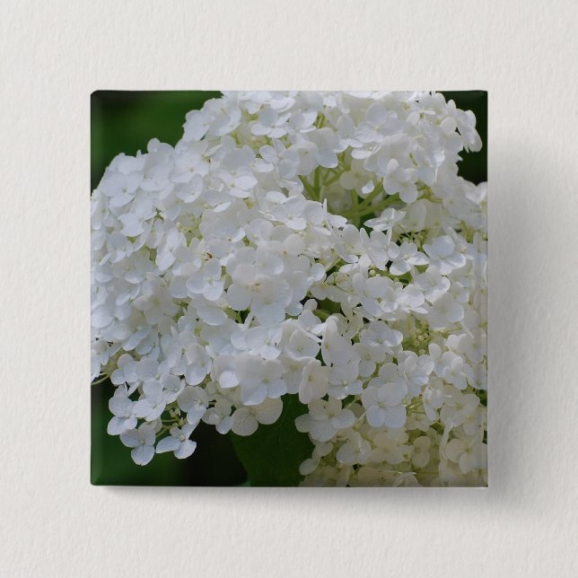 Weißes Hydrangeas-Button Button (Vorderseite)