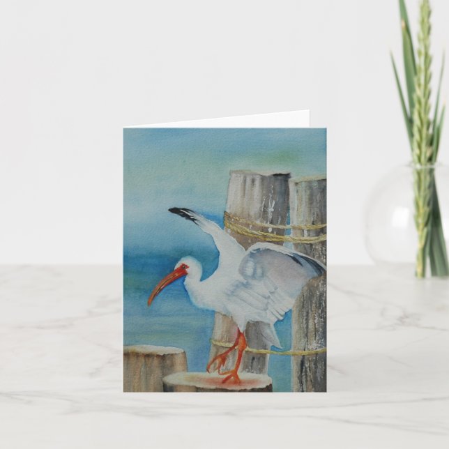 Weißes IBIS durch Peggy Allen Karte (Vorderseite)