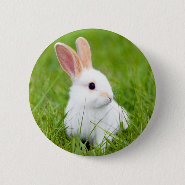 Weißes Kaninchen Button (Vorderseite)