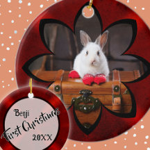 Weißes Kaninchen Erste Weihnachten