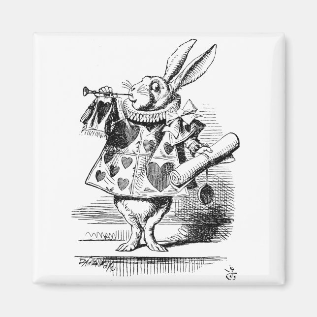 Weißes Kaninchen in Herald Magnet (Vorne)