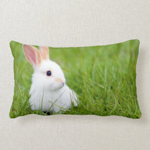 Weißes Kaninchen Lendenkissen