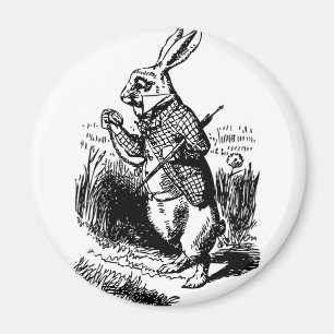 Weißes Kaninchen Magnet