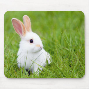 Weißes Kaninchen Mousepad