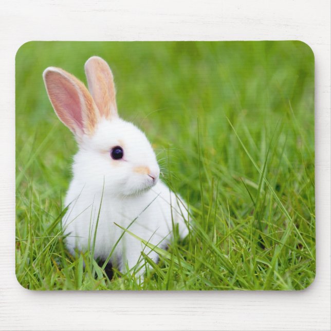 Weißes Kaninchen Mousepad (Vorne)