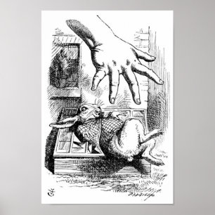 Weißes Kaninchen Poster