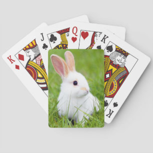 Weißes Kaninchen Spielkarten