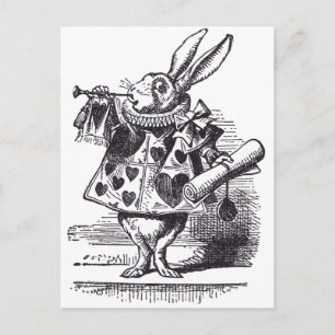 Weißes Kaninchen-Trompete Postkarte