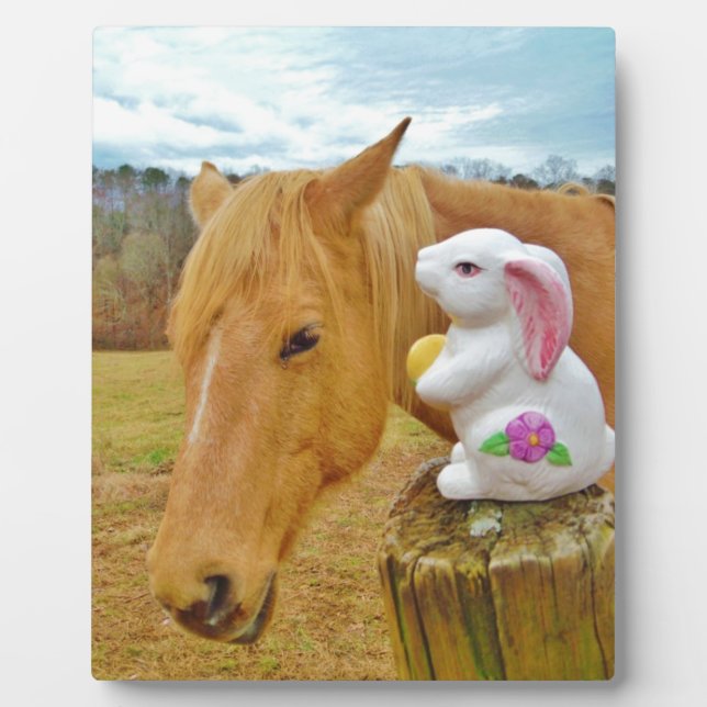 Weißes Kaninchen und blutgelbes Pferd Fotoplatte (Vorderseite)