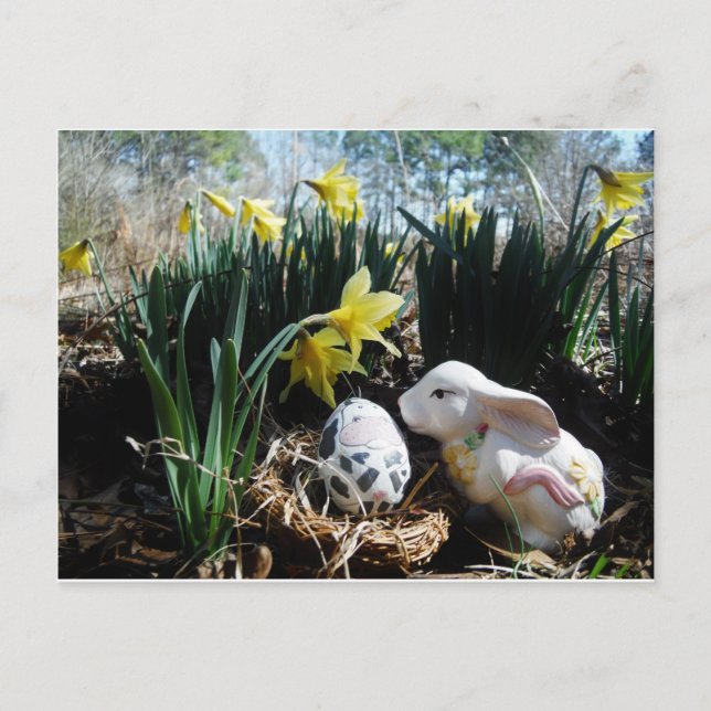 Weißes Kaninchen und Kuheier Postkarte (Vorderseite)