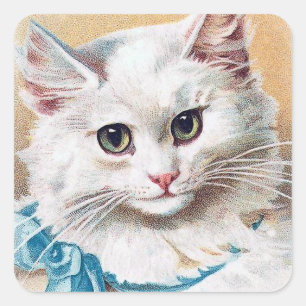 Weißes Katzen-Porträt Quadratischer Aufkleber