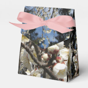 Weißes Kirschbär / Sakura / ラ(桜) Geschenkschachtel