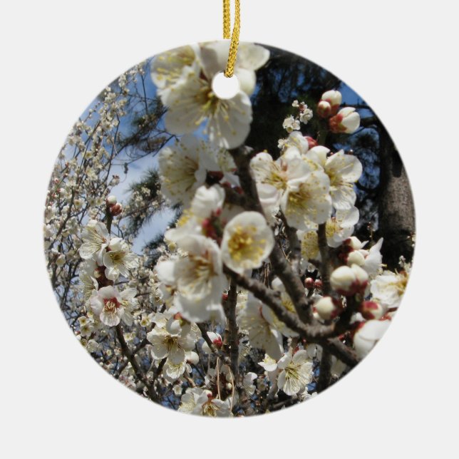 Weißes Kirschbär / Sakura / ラ(桜) Keramik Ornament (Vorne)