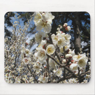 Weißes Kirschbär / Sakura / ラ(桜) Mousepad
