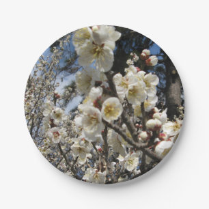 Weißes Kirschbär / Sakura / ラ(桜) Pappteller