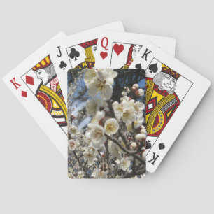 Weißes Kirschbär / Sakura / ラ(桜) Spielkarten