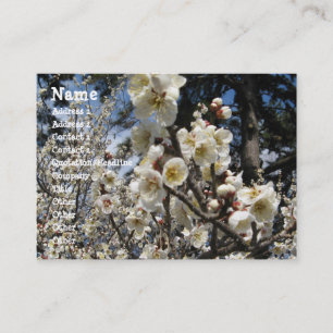 Weißes Kirschbär / Sakura / ラ(桜) Visitenkarte