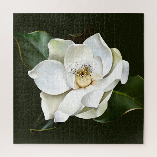 Weißes Magnolia Grüner Hintergrund (Vertikal)