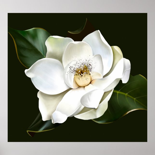 Weißes Magnolia Grüner Hintergrund Poster (Vorne)