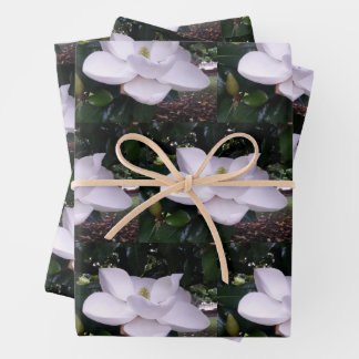 Weißes Magnolienwappenpapier - Flachblatt Set 3 Geschenkpapier Set
