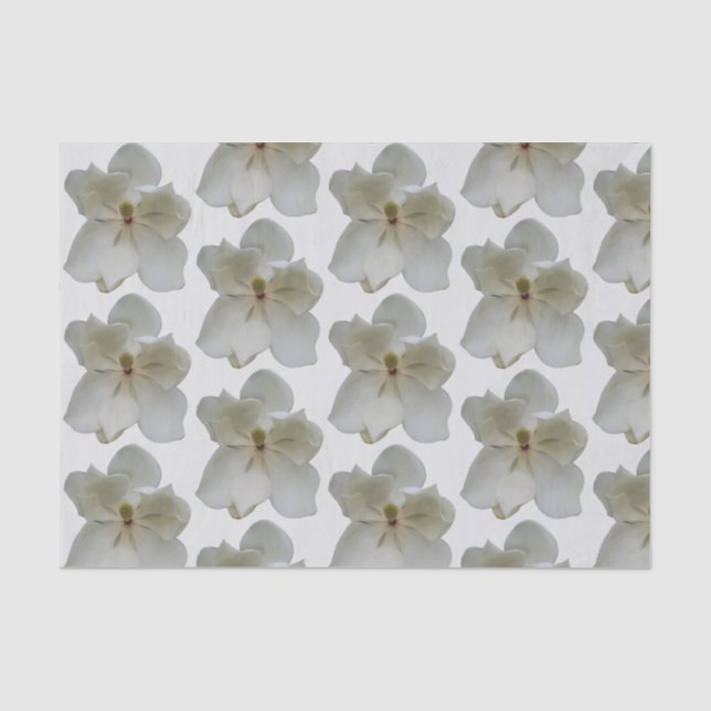 Weißes Magnolium auf Papiertaschentuch Seidenpapier (Vorderseite)