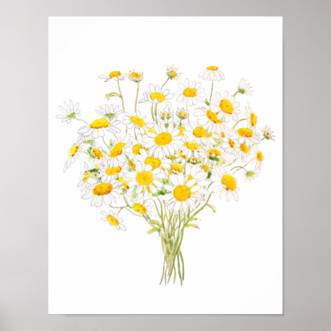 Weißes Margaret-Dekor, Aquarell und Tintenbraun Poster (Vorne)