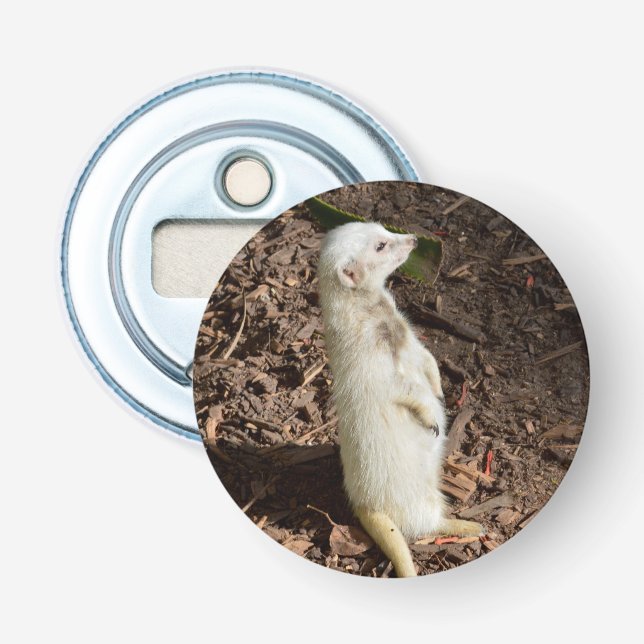 Weißes Meerkat, Magnetflaschenöffner. Flaschenöffner (Vorderseite)