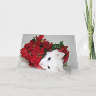 Weißes Miezekatze Weihnachten