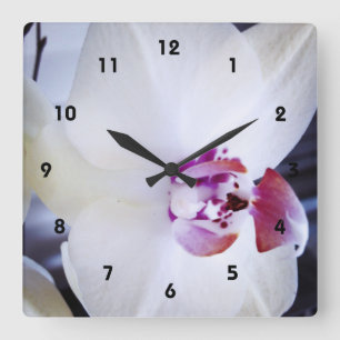 Weißes Orchid-Foto Quadratische Wanduhr