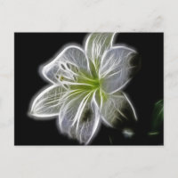 Weißes Orchideen-Fraktal