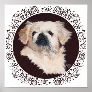 Weißes Pekingese-Kopf-Studium Poster