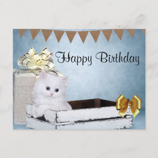 Weißes Perserkätzchen Geburtstag Postkarte