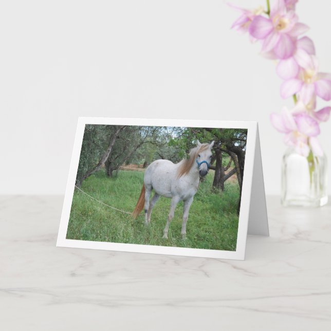 Weißes Pferd auf dem Grasfeld Karte (Orchidee)