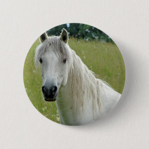 Weißes Pferd Button