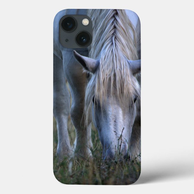 Weißes Pferd Case-Mate iPhone Hülle (Rückseite)