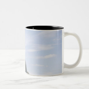 weißes Pferd, das auf Wiese springt Zweifarbige Tasse