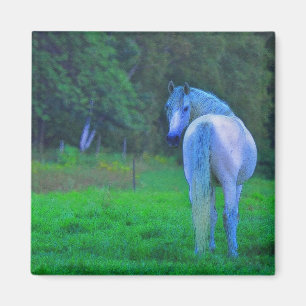 Weißes Pferd im Mondlicht Magisches Kunstgeschenk Magnet