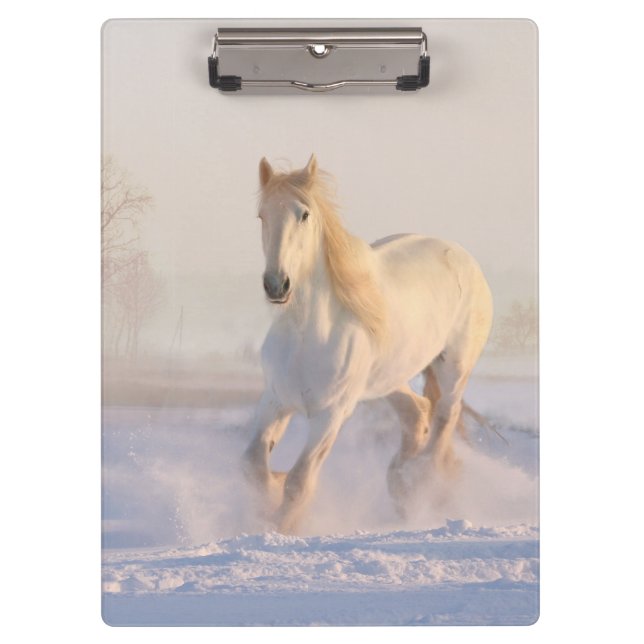 weißes Pferd im Schnee Klemmbrett (Vorderseite)