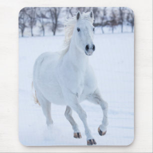 Weißes Pferd im Schnee laufen Mousepad