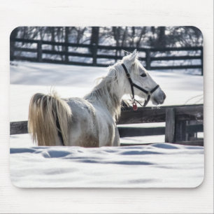 Weißes Pferd im Schnee Mousepad
