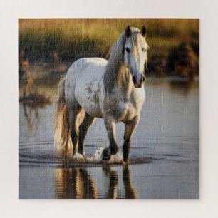 Weißes Pferd im See