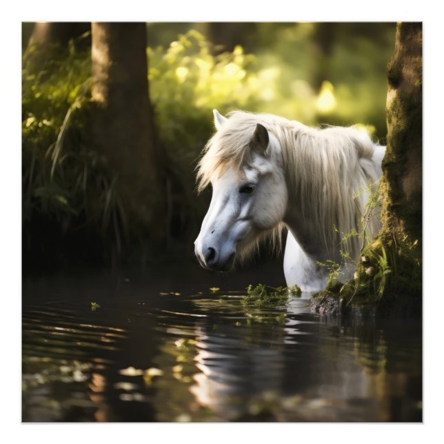 Weißes Pferd im Teich Fotodruck (Vorne)