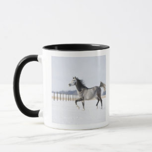 weißes Pferd im Winter Tasse