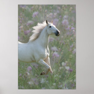 Weißes Pferd in Blume-Poster Poster