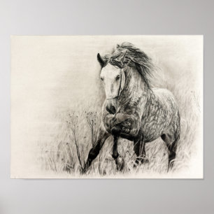 Weißes Pferd in der Holzkohle Poster