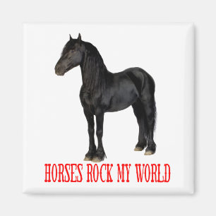 Weißes Pferd Liebhaber Western Reitsportfarm Pony Magnet
