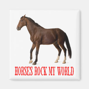 Weißes Pferd Liebhaber Western Reitsportfarm Pony Magnet