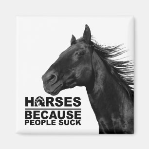 Weißes Pferd Liebhaber Western Reitsportfarm Pony Magnet
